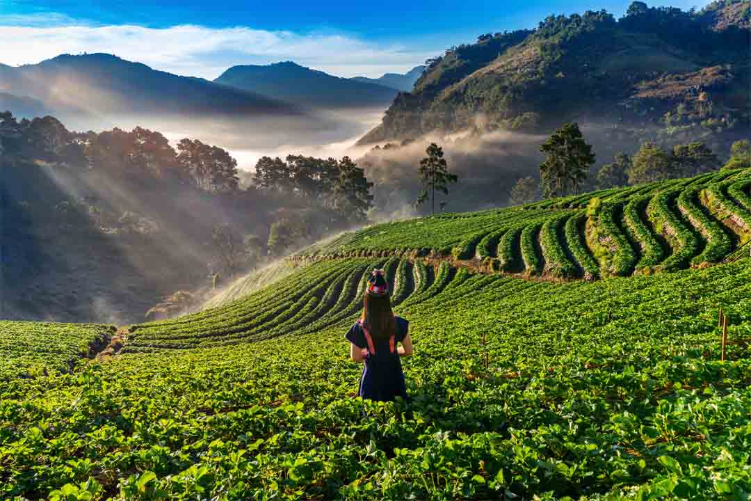 Sylhet